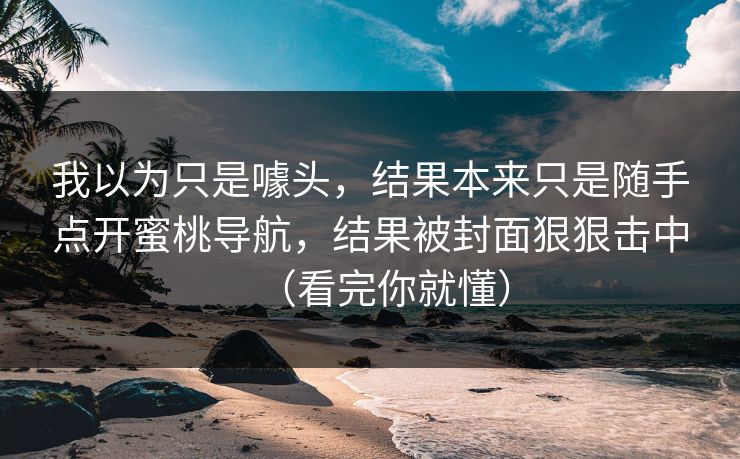 我以为只是噱头，结果本来只是随手点开蜜桃导航，结果被封面狠狠击中（看完你就懂）