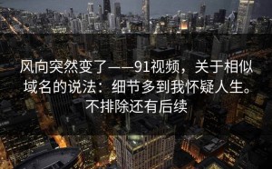 风向突然变了——91视频，关于相似域名的说法：细节多到我怀疑人生。不排除还有后续