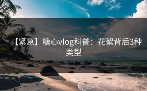 【紧急】糖心vlog科普：花絮背后3种类型