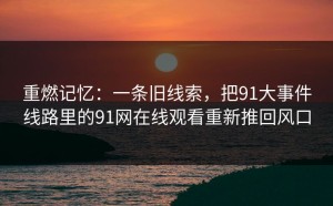 重燃记忆：一条旧线索，把91大事件线路里的91网在线观看重新推回风口