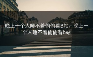 晚上一个人睡不着偷偷看B站，晚上一个人睡不着偷偷看b站