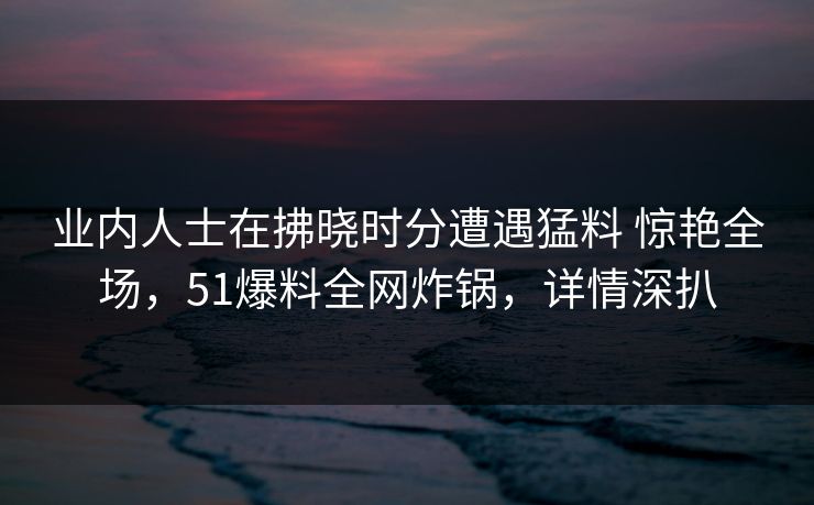 业内人士在拂晓时分遭遇猛料 惊艳全场，51爆料全网炸锅，详情深扒