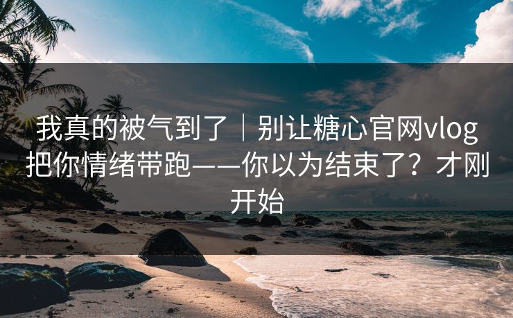 我真的被气到了｜别让糖心官网vlog把你情绪带跑——你以为结束了？才刚开始